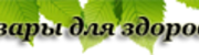 Logo m