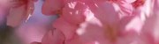 8j6g58y26as
