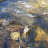 Thumb photo 2019 06 25 13 02 24