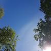 Thumb photo 2019 06 25 13 04 35