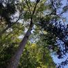 Thumb photo 2019 06 25 13 05 07